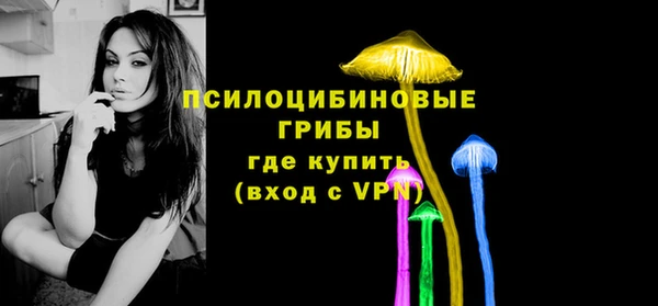 индика Армянск