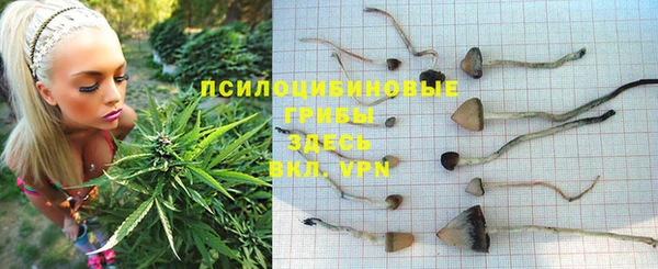 индика Армянск