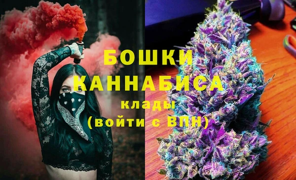 индика Армянск