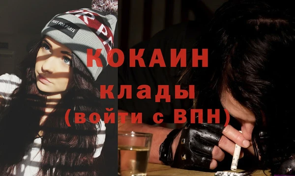 индика Армянск